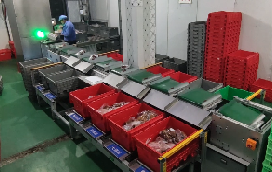 多米官网平台助力兰州首个“中央厨房”分拣中心落成，赋能食品分拣新模式