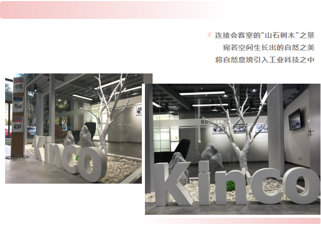 多米官网平台股份, 科创板动态, 上海HMI
